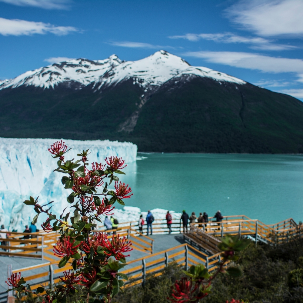 Patagonia